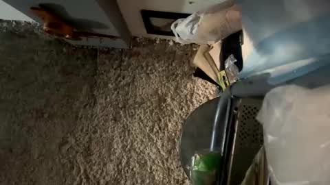 melodysnow online show from 01/08/26, 12:40