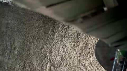 melodysnow online show from 01/09/26, 12:52