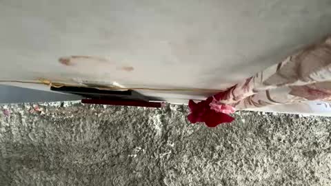 melodysnow online show from 01/10/26, 06:31