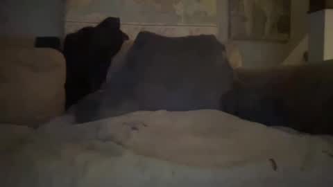 Snapshot of melt13 chatting on 01/01/25, 02:41 melt13 online show from 01/01/25, 02:41