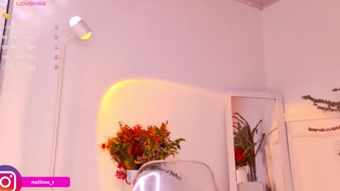 Snapshot of melytaylor chatting on 01/18/25, 09:13 Melissa online show from 01/18/25, 09:13