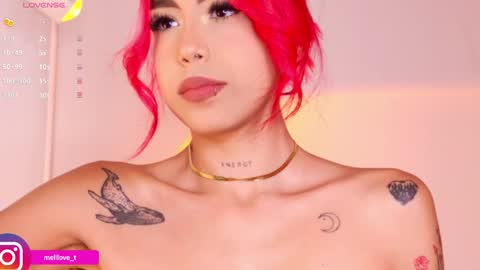 Snapshot of melytaylor chatting on 02/07/25, 12:20 Melissa online show from 02/07/25, 12:20