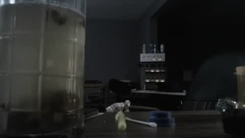 I am usually high and horny...lol online show from 10/21/25, 12:44