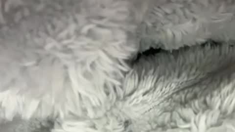 menarethebest123 online show from 06/17/26, 02:47