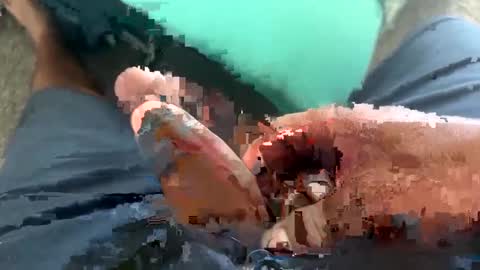 Toro loco online show from 09/14/25, 09:58