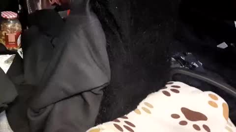 Giorggio Fragacci online show from 01/24/25, 04:16