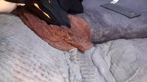 Giorggio Fragacci online show from 04/10/26, 05:12