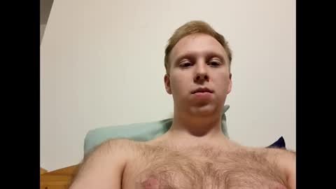 meow732 online show from 10/27/25, 03:54