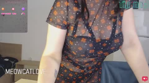 meowcatlove online show from 12/24/24, 09:00