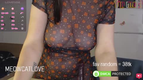 meowcatlove online show from 01/26/25, 11:08