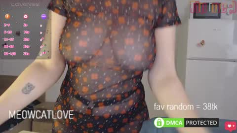 meowcatlove online show from 01/27/25, 06:31