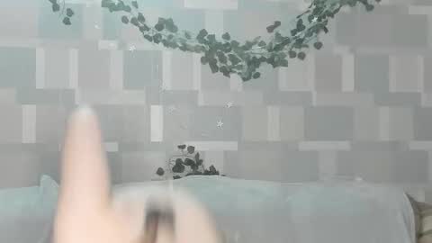 meowcr online show from 02/02/26, 03:00