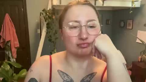 meowmaxx online show from 04/08/26, 08:09