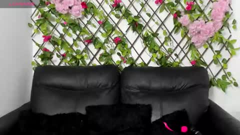 Snapshot of merlyna_goldens chatting on 11/14/25, 12:42 My next birthday is December 11th. online show from 11/14/25, 12:42