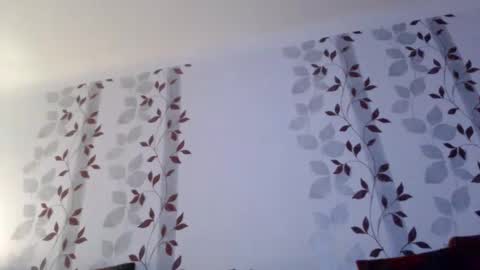 Snapshot of metallbuddy chatting on 01/12/25, 09:40 ask me online show from 01/12/25, 09:40