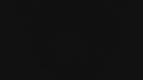 Wade online show from 02/13/26, 11:28