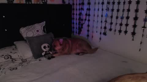 mia online show from 02/18/26, 11:33