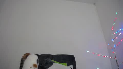 M I A online show from 12/18/25, 10:32