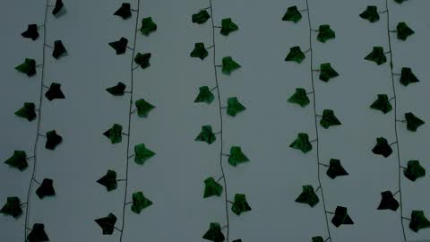 MIA online show from 11/12/25, 10:20