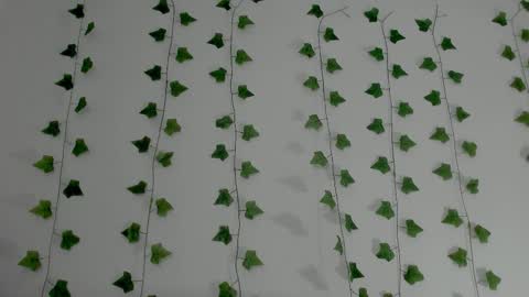 MIA online show from 02/03/26, 10:26