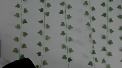 MIA online show from 02/11/26, 09:42