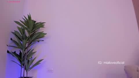 Snapshot of mia_love__ chatting on 02/12/25, 03:07 MIA LOVE online show from 02/12/25, 03:07