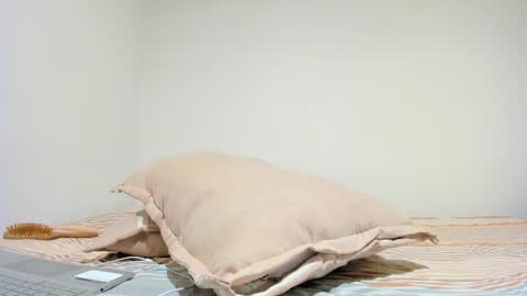 MIA INDEPENDENT MODEL  online show from 10/16/25, 05:03