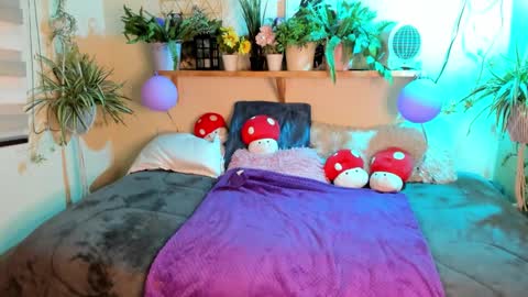 Miaa online show from 03/10/26, 08:25