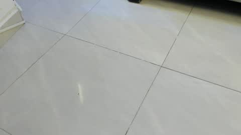 miaakittyy online show from 05/14/26, 11:39