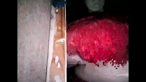 miamooreh online show from 03/13/26, 04:35