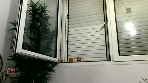 MILO MIAMI online show from 06/28/26, 12:27