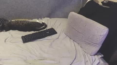 Michael online show from 06/24/26, 08:46
