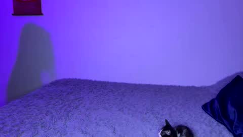 michellepetitte online show from 04/02/26, 01:58