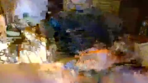 michiganstud28 online show from 04/22/26, 02:14