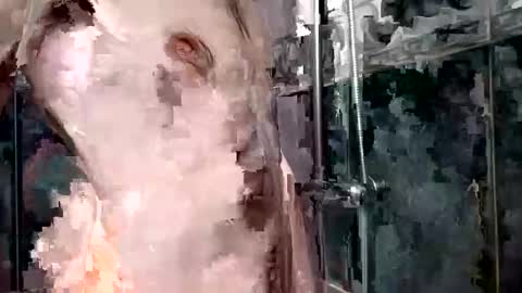 mickavis1975 online show from 01/01/25, 05:55