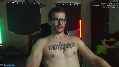 Snapshot of mickey_pict chatting on 12/25/24, 05:26 Mickey online show from 12/25/24, 05:26