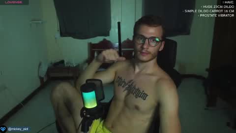 Snapshot of mickey_pict chatting on 12/30/24, 01:25 Mickey online show from 12/30/24, 01:25