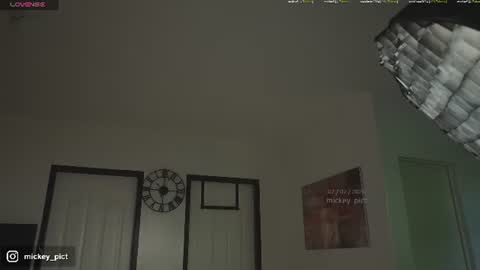 Snapshot of mickey_pict chatting on 07/02/26, 05:02 Mickey online show from 07/02/26, 05:02