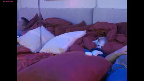 Mickey online show from 02/01/25, 06:08