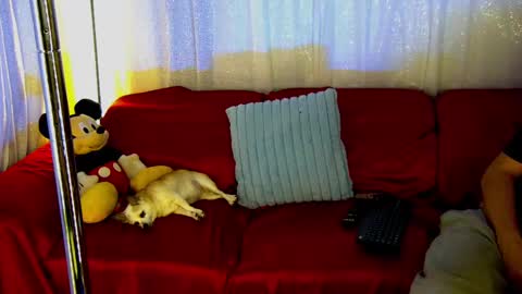 Mickey online show from 02/28/25, 12:43