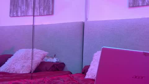 Mickey online show from 11/27/25, 04:25