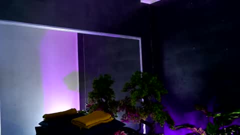 Snapshot of midnight_seduction chatting on 02/13/25, 08:38 Alice online show from 02/13/25, 08:38