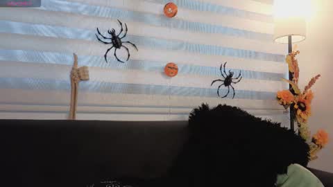 midori__san online show from 11/04/25, 07:13