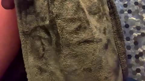 MiguelBlu2 online show from 02/08/26, 03:54