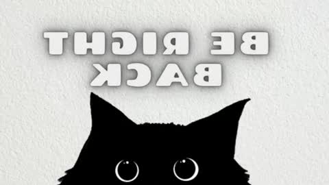 Mia online show from 02/27/26, 09:20