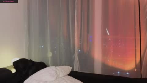   online show from 04/16/26, 12:44