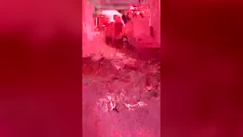 mike26051 online show from 04/19/26, 05:51