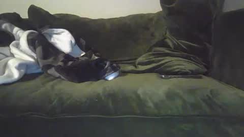 mike_davis44444 online show from 01/31/25, 07:07