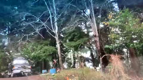 mikeblair5081 online show from 12/22/25, 07:55