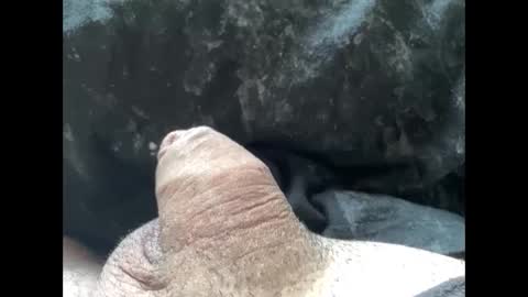 Snapshot of mikke332 chatting on 02/10/25, 11:57 mikke332 online show from 02/10/25, 11:57